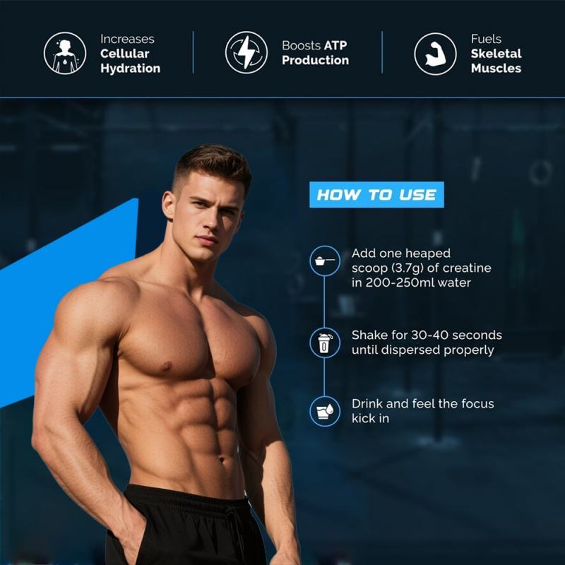 OEM/ODM Wellcore Creatine Monohydrate Powder 99.9% Pure Micronized