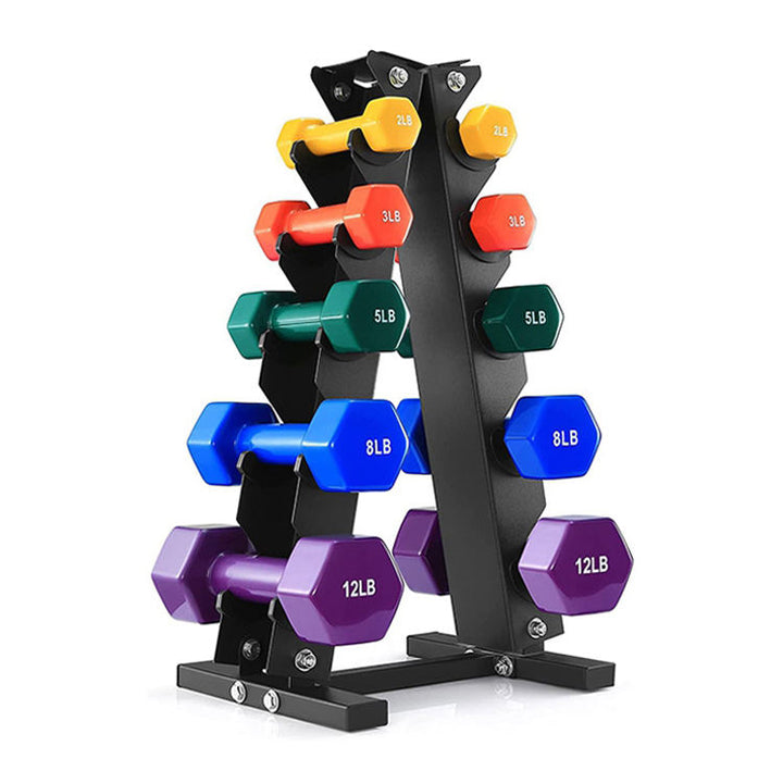 Gym Training Exercise Neoprene Vinyl Coated Dipping Dumbbell Set