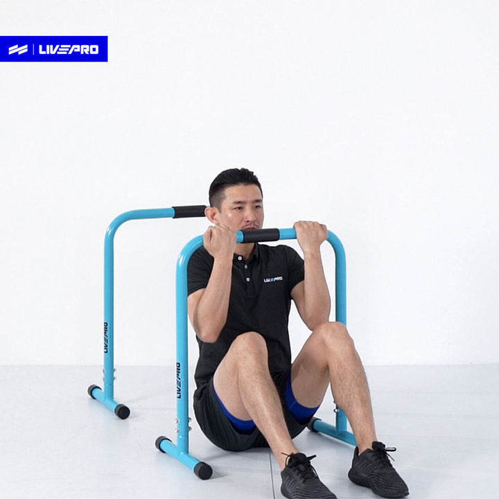 Fitness High Parallettes Calisthenics Body Weight Dip Bars