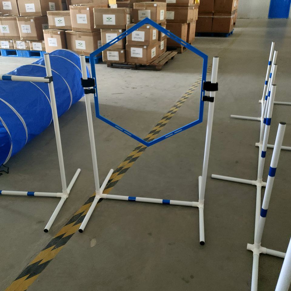 Dog Agility Training Equipment Exercise Pet Obstacle Course Pet Training Set