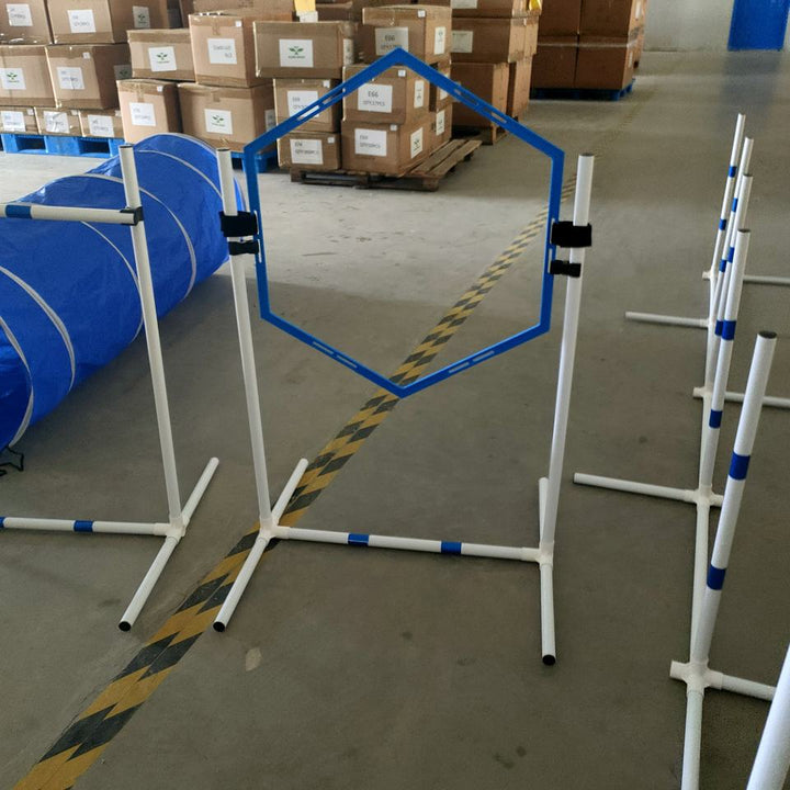 Dog Agility Training Equipment Exercise Pet Obstacle Course Pet Training Set